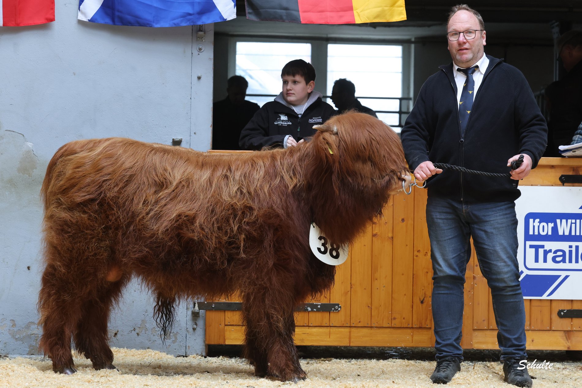 169 38 Kl.6 1 1c Don vom Hainergrund Markus u. Torsten Roos GbR Allendorf Haine