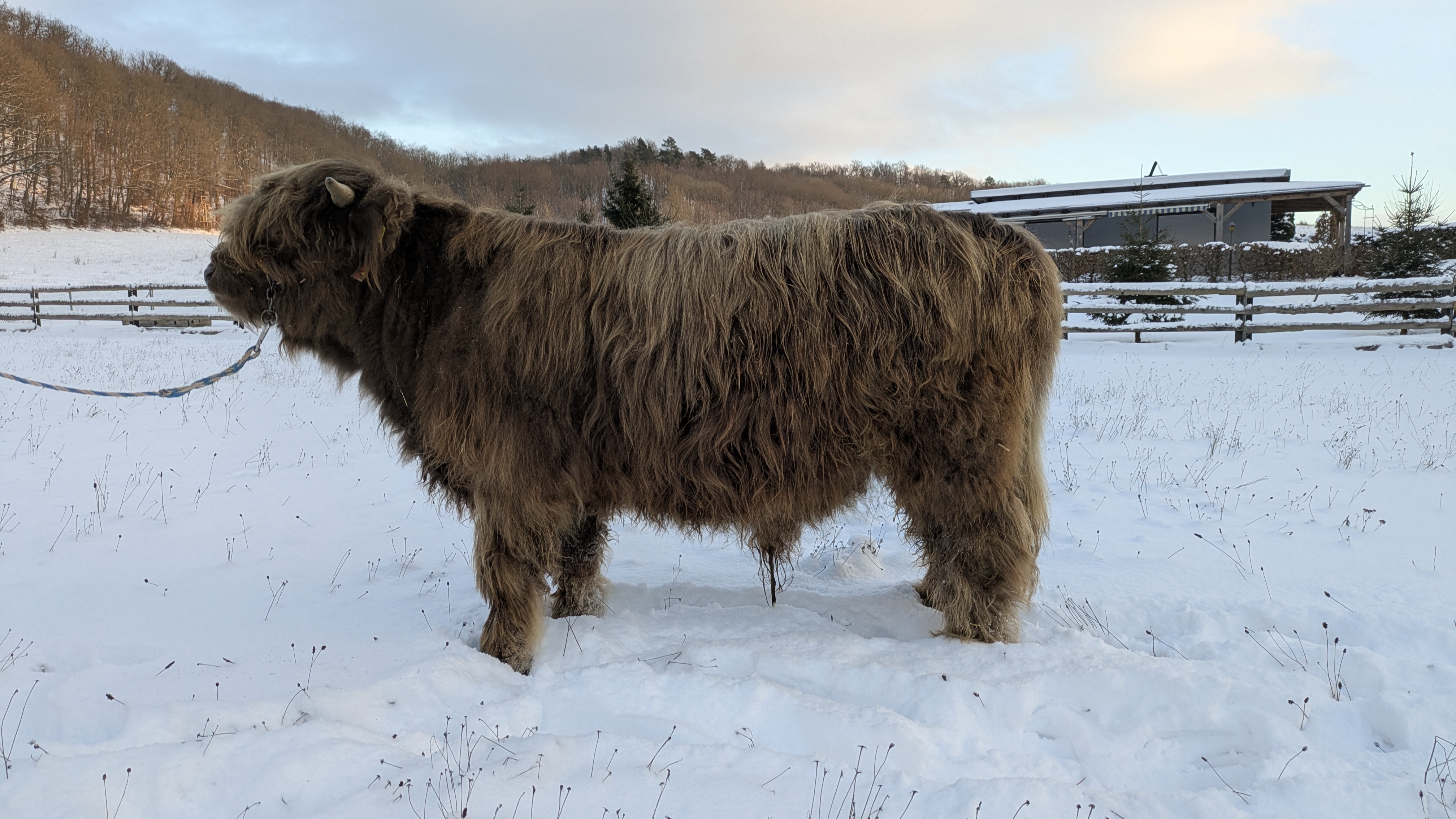 PXL 20260107 144806460.MP