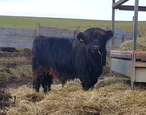 WhatsApp Bild 2025 12 17 um 08.09.03 2f647921